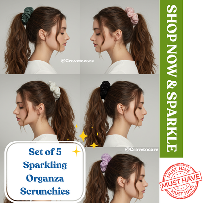 Sparkling organza Scrunchies - Set of 5